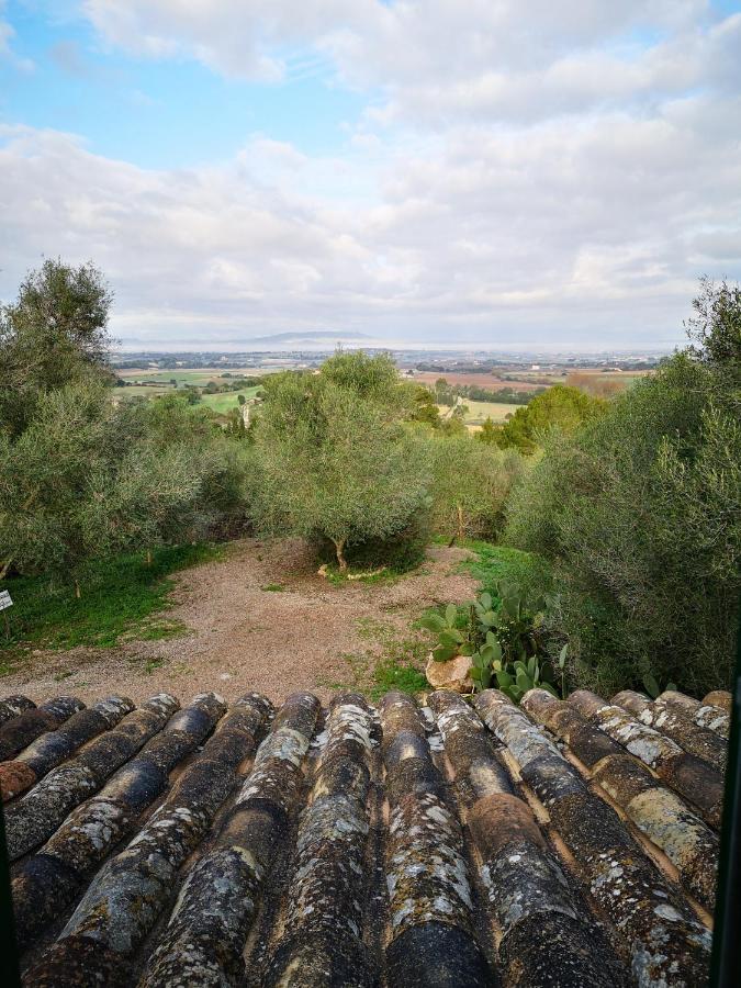 Son Vell. Mallorca. Casa Amb Piscina Ecologica. Hébergement de vacances