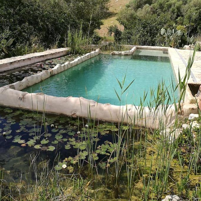 Feriehus Son Vell. Mallorca. Casa Amb Piscina Ecologica.