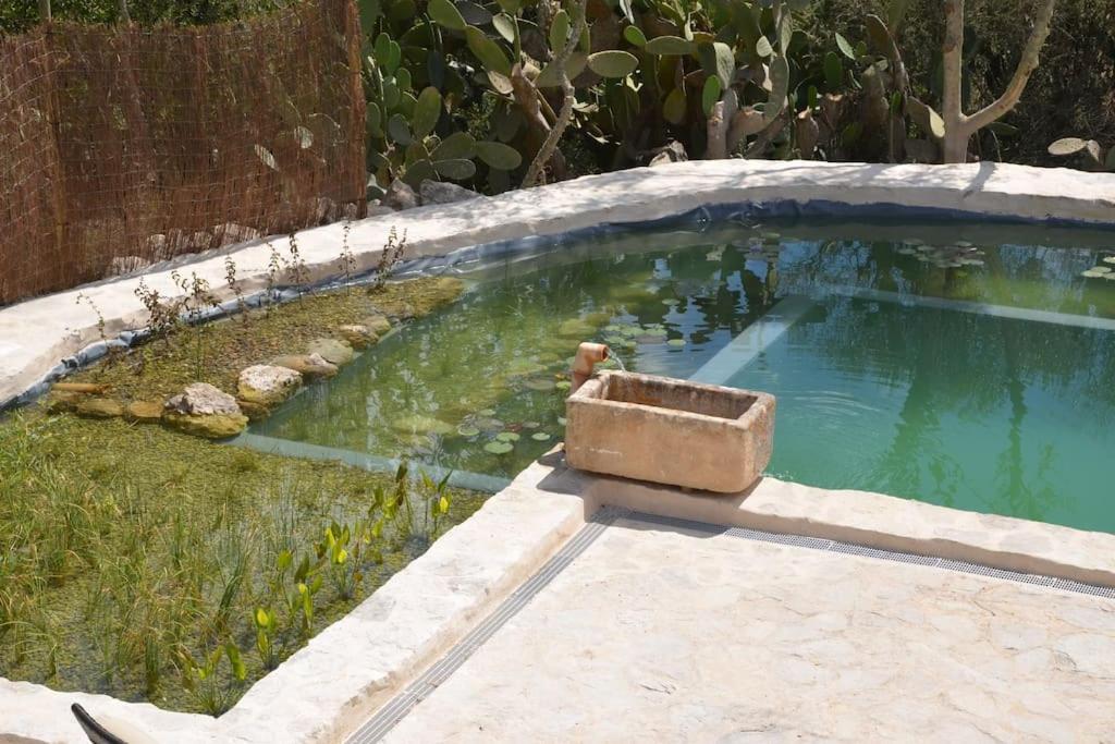 Feriehus Son Vell. Mallorca. Casa Amb Piscina Ecologica. *