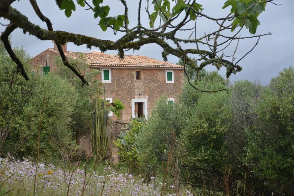 Son Vell. Mallorca. Casa Amb Piscina Ecologica. Feriehus