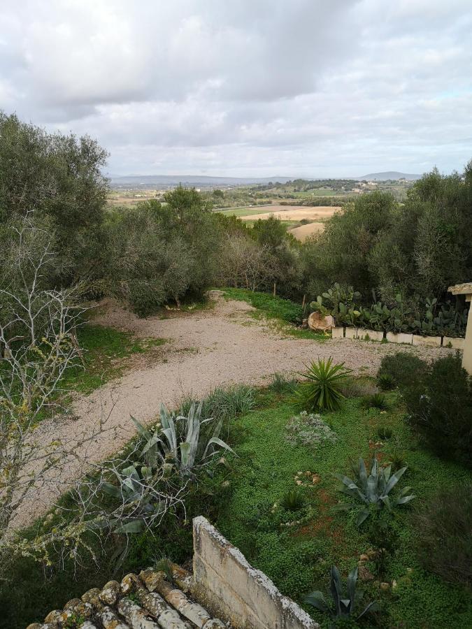 Feriehus Son Vell. Mallorca. Casa Amb Piscina Ecologica. Manacor (Mallorca)