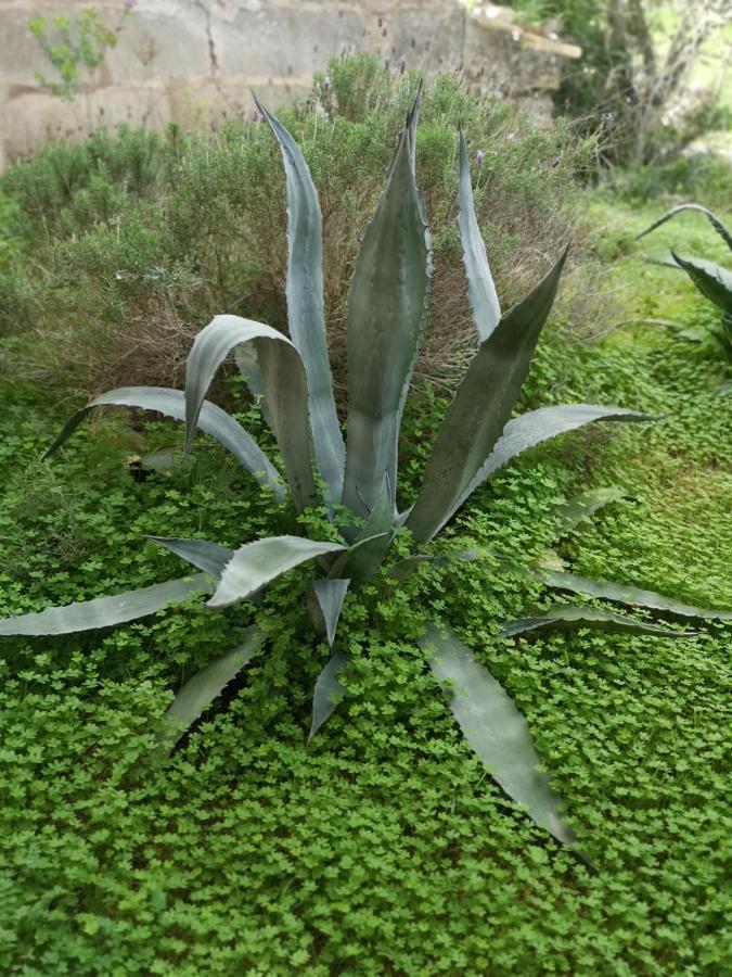 Son Vell. Mallorca. Casa Amb Piscina Ecologica. Feriehus